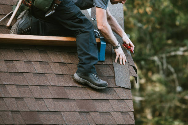 Best Roof Maintenance Services  in Dallas, GA